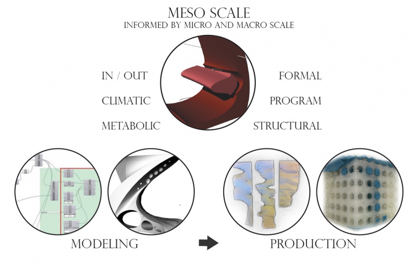 Scales meso 1.jpg